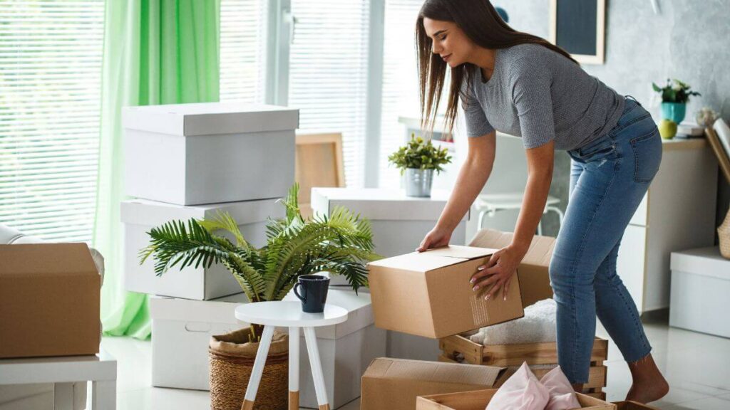 organizando a casa